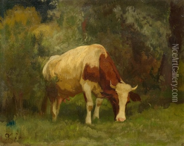 Grazing Cow Oil Painting - Johann Rudolf Koller