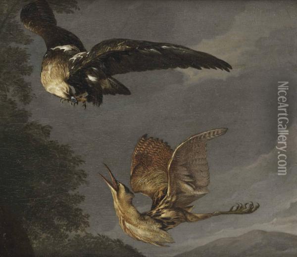 A Golden Eagle And A Bittern In Flight Oil Painting - Carl Borromaus Andreas Ruthart