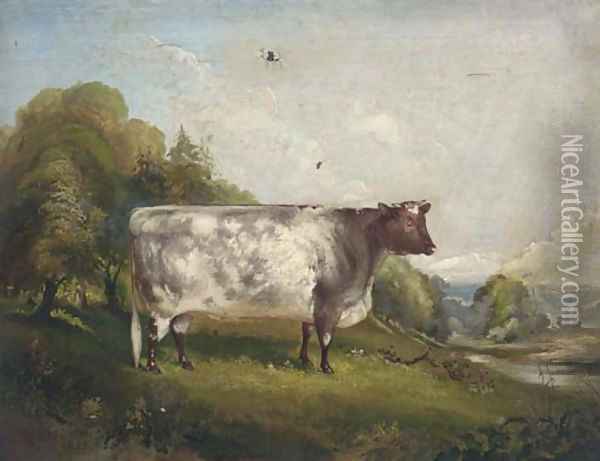 Princess, a prize bull in a landscape Oil Painting - Maxim Gauci