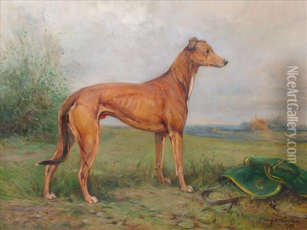 Studyof A Greyhound Oil Painting - Philip Eustace Stretton