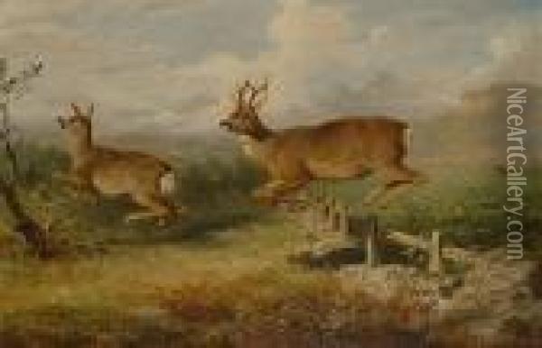 Deer Jumping A Fence Oil Painting - James William Giles