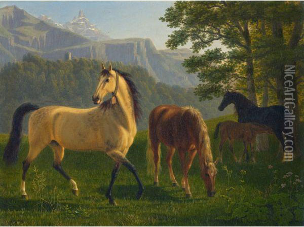 Pferde Vor Landschaft Oil Painting - Johann Jakob Biedermann