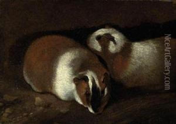 Two Guinea Pigs Oil Painting - Sinibaldo Scorza