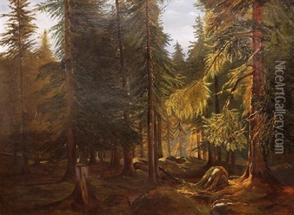 Clearing In The Forest Oil Painting - Konstantin Yakovlevich Kryzhitsky