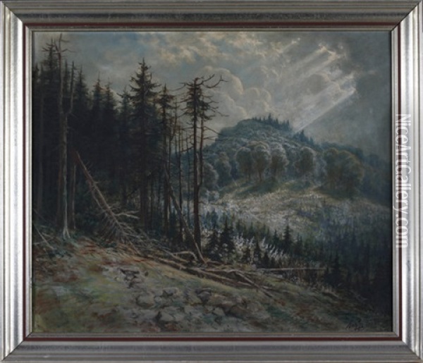 Die Rhon (osthessisches Bergland) Oil Painting - Johann Georg Mohr
