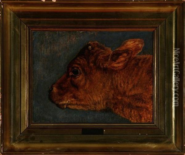 A Calf Head Oil Painting - Theodore Esbern Philipsen