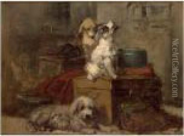 A Study Of Three Dogs Oil Painting - Henriette Ronner-Knip