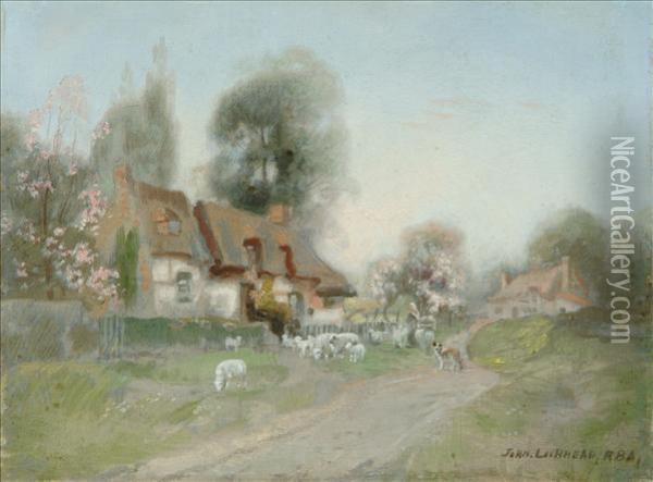 Sheep By A Cottage Garden Oil Painting - John Lochhead