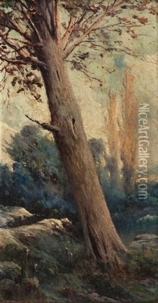 Eucaliptus Oil Painting - Ernesto Laroche