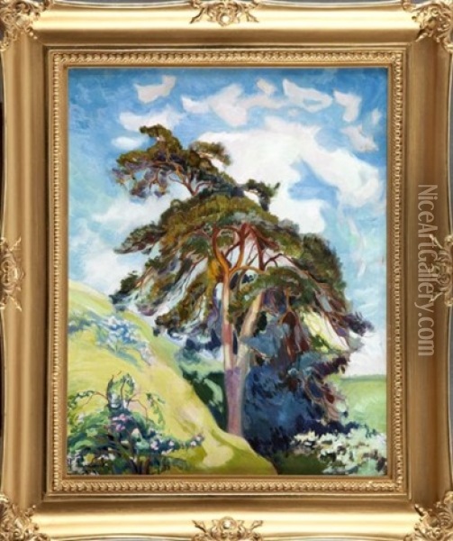 Letni Pejzaz Z Drzewem Oil Painting - Stanislaw Paciorek