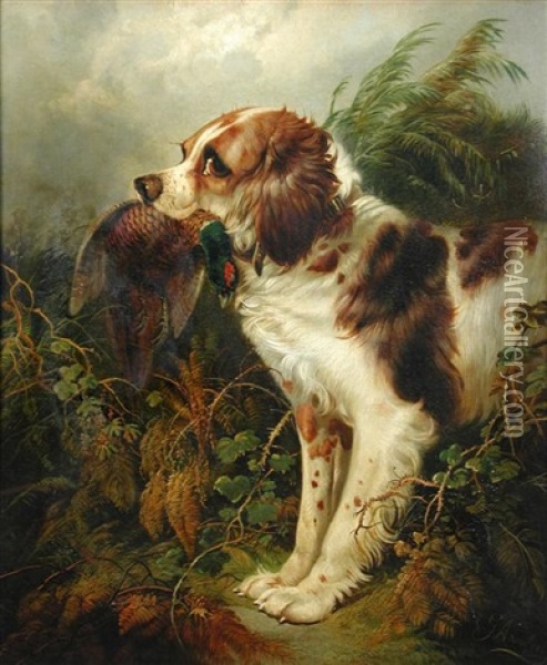 A Spaniel Retriever Oil Painting - George Armfield
