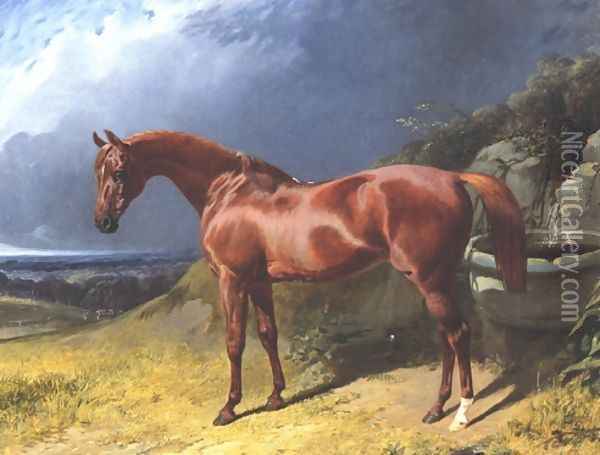 Chestnut A Racehorse Oil Painting - John Frederick Herring Snr