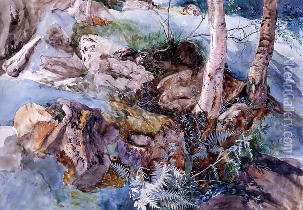 Study of the Rocks and Ferns, Crossmouth Oil Painting - John Ruskin