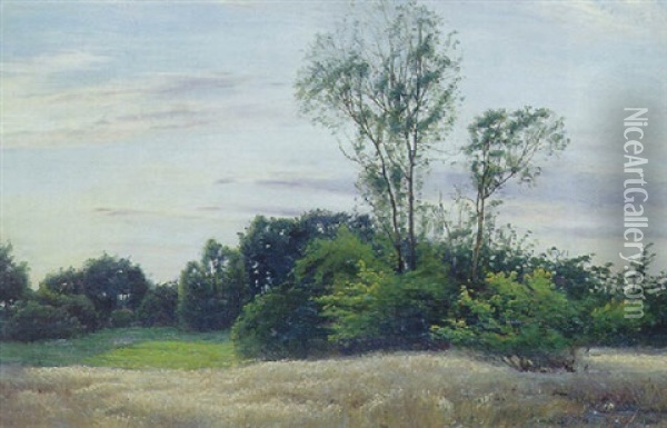 Septembereftermiddag, Skovene Ved Fredriksholm Oil Painting - Sigvard Marius Hansen