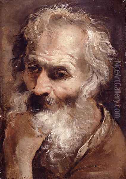Head of an Old Man Oil Painting - Annibale Carracci