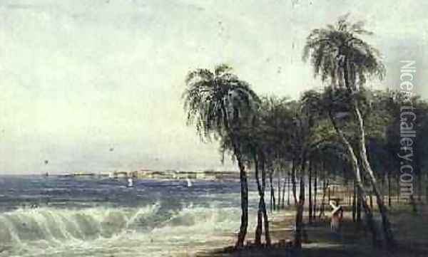 A View of Colombo Ceylon Oil Painting - Andrew Nicholl