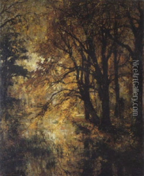 Herfstgezicht In Een Park Oil Painting - Pieter Gorus