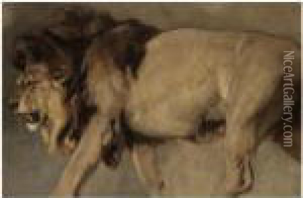 Study Of A Lion Oil Painting - Landseer, Sir Edwin