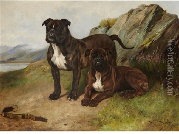 Jack Tar & Another Bulldog Oil Painting - Wright Barker