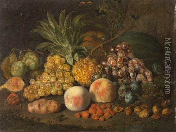 Still Life With Fruit Oil Painting - Johann Daniel Bager