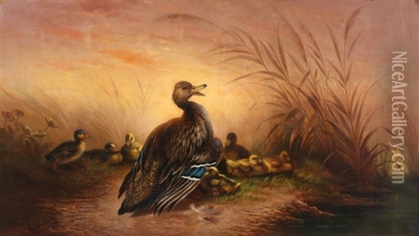 Duck With Her Ducklings Oil Painting - Carl Ceasar Adelbert Cramer