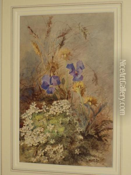 Woodland Flowers Oil Painting - Maria Teresa Hegg