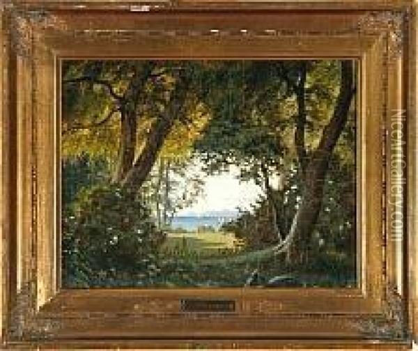 A Landscape With A View From Denmark To Kullen In Sweden Oil Painting - Carl Gotfred Wurtzen