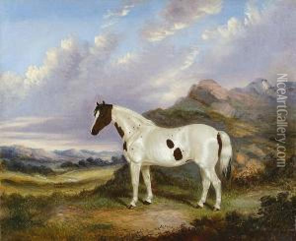 Portrait Of A Piebald Pony In A Landscape Oil Painting - A. Clark