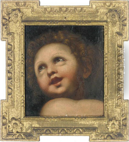 Head Of A Putto: A Fragment Oil Painting - Domenico Zampieri (Domenichino)