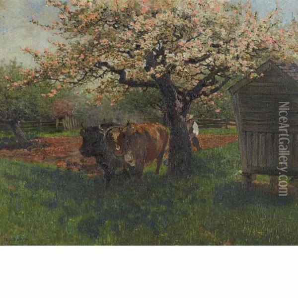 Cows Oil Painting - William Partridge Burpee