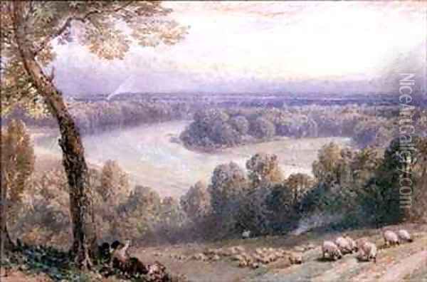 The Thames from Richmond Hill Oil Painting - Myles Birket Foster