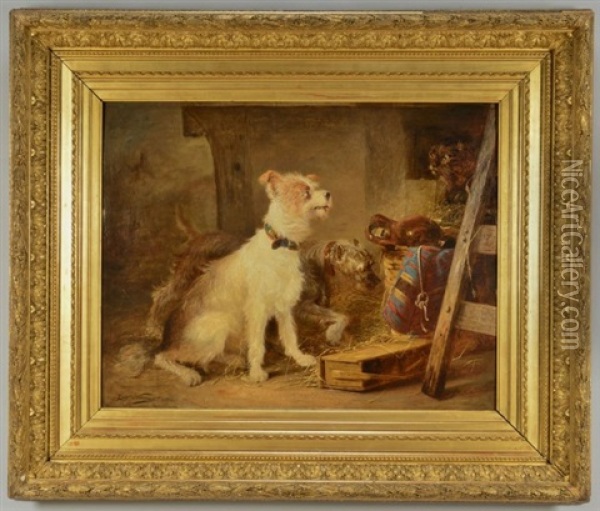 Large Interior Barn Scene Of Two Terriers With A Cat Oil Painting - Zacharias Noterman