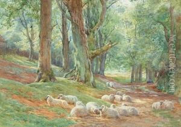 Sheep Resting In A Woodland Clearing, And Another Similar Of Sheep In A River Landscape Oil Painting - Charles James Adams