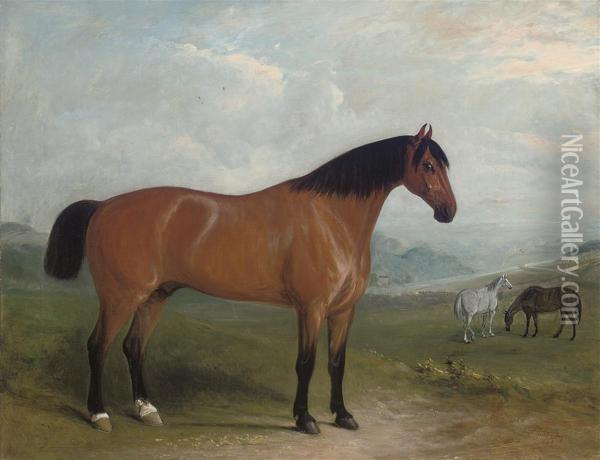 Styrrup In An Extensive Landscape, With Two Hunters Beyond Oil Painting - John Jnr. Ferneley