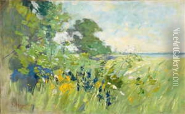 Sommerliche Uferlandschaft Oil Painting - Karl Hagemeister