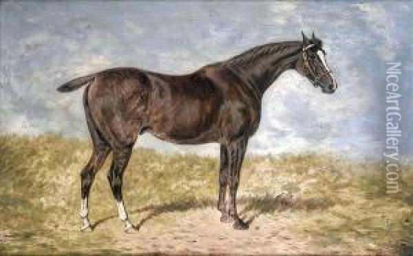 Portrait Ofthe Dark Bay Racehorse Warrior Oil Painting - William Eddowes Turner