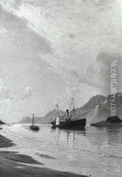 Norsk Fjordparti Med Dansk Dampskib Oil Painting - Christian Ferdinand Andreas Molsted
