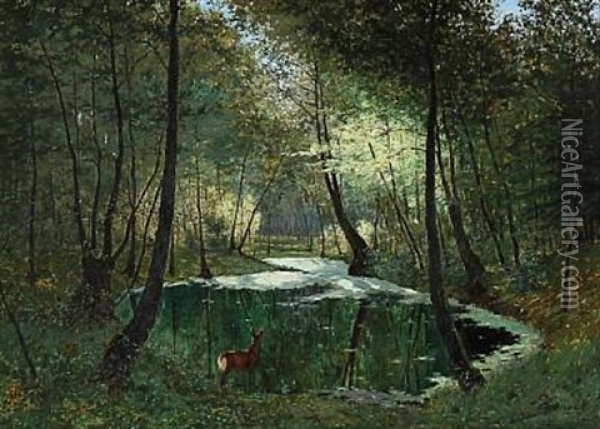 Deer Near A Lake In The Woods Oil Painting - Max Hoenow