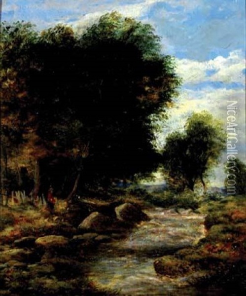 Rocky Stream In A Wooded Landscape Oil Painting - Walter Wallor Caffyn