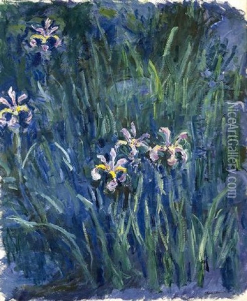 Iris Oil Painting - Claude Monet