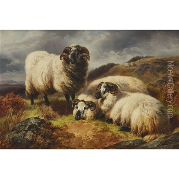 Long Horn Sheep In A Landscape Oil Painting - William R.C. Watson