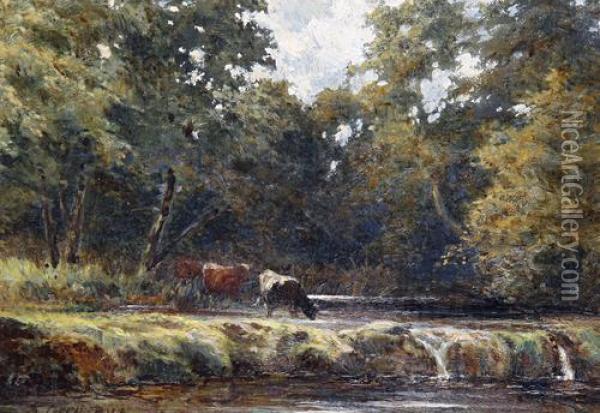 Cattle Watering Oil Painting - Alfred Grey