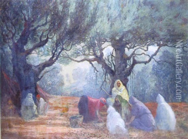 La Cueillette Des Olives En Tunisie Oil Painting - Nicolae Gropeanu