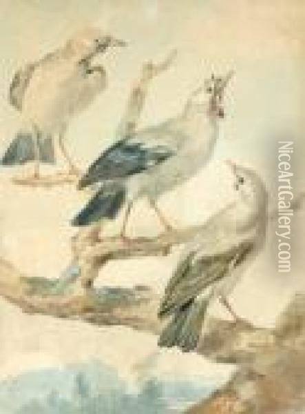 Trois Oiseaux Oil Painting - Aert Schouman