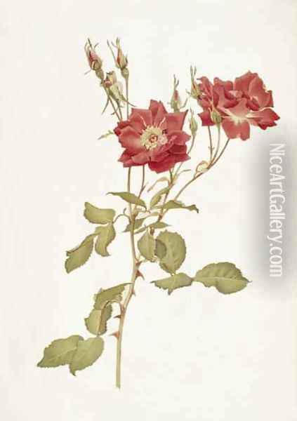 Rose Bourbon Oil Painting - Alfred Parsons