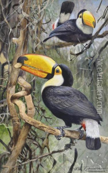 Toucans Oil Painting - Wilhelm Kuhnert