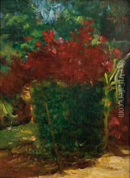 Meu Jardim Teresopolis Oil Painting - Eliseo Visconti