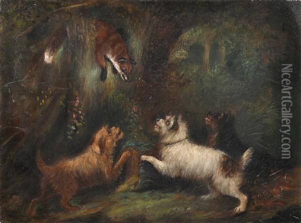 Three Terriers Cornering A Fox Oil Painting - George Armfield