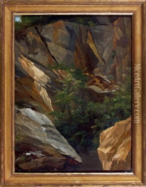 Etude D'arbres Et De Rochers (study) Oil Painting - Auguste Pichon