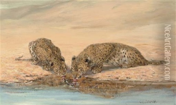 African Leopards Oil Painting - Cuthbert Edmund Swan